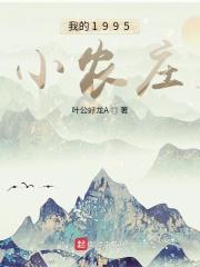 我的1995小农庄封面